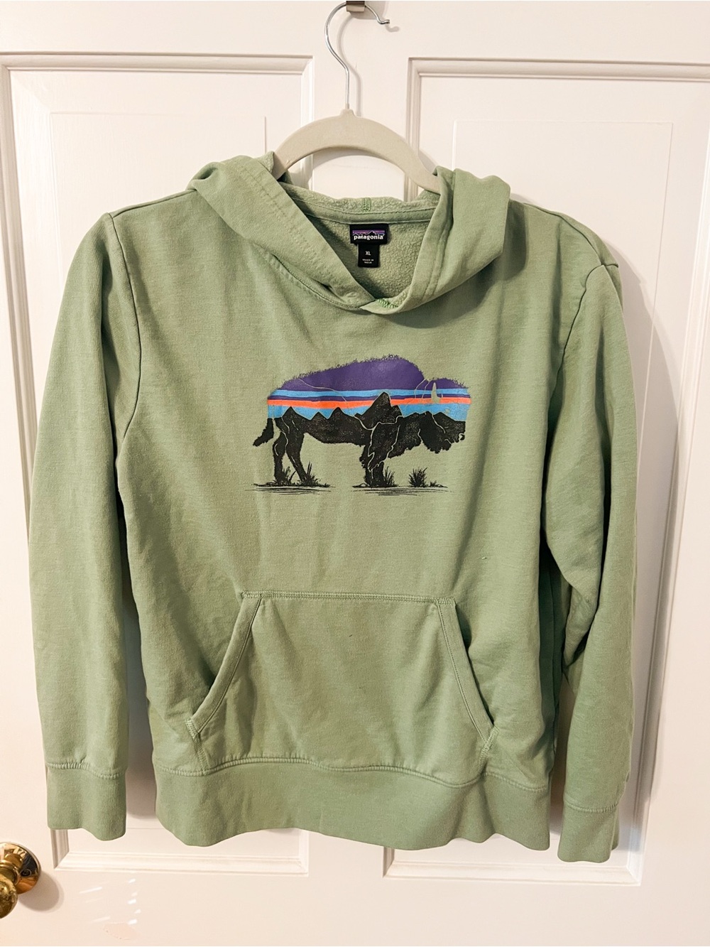 Green Boys Buffalo Patagonia hoodie